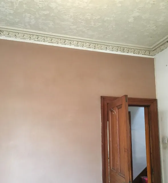 Plastered Wall and Ceiling