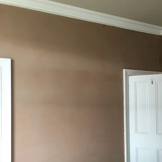 Completed Plastered Wall